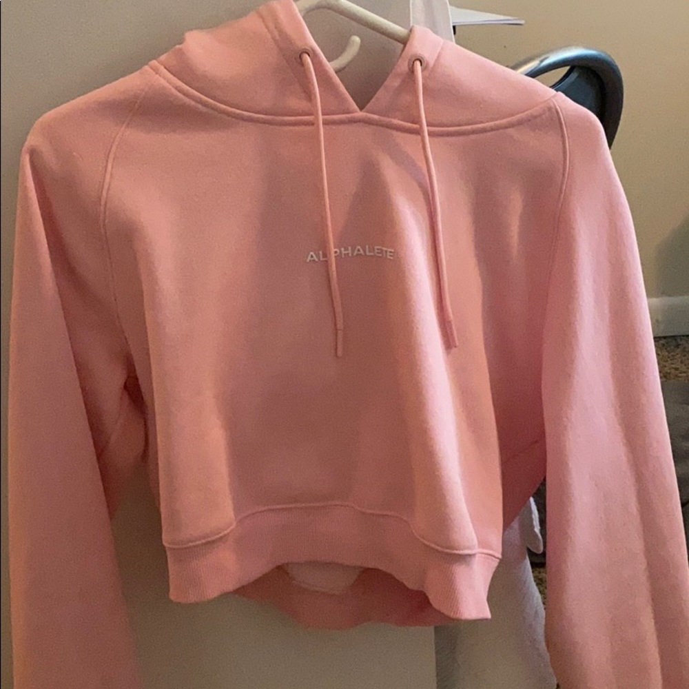 Alphalete Crop Hoodie